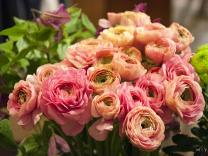 BOUTIQUE NADINE x Mise en Fleur